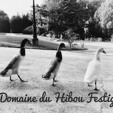 Apartment Le Champenois Festigny (Marne)