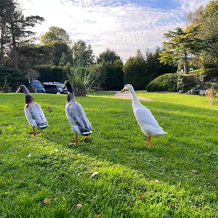 Apartamento Le Champenois *