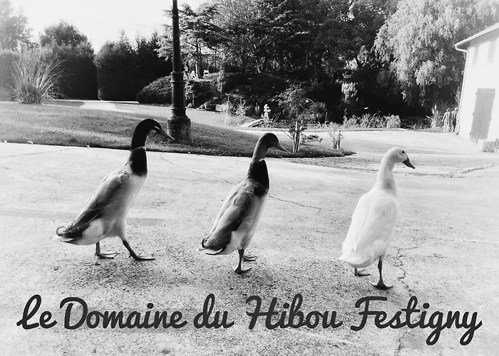 Lägenhet Le Champenois Festigny (Marne)