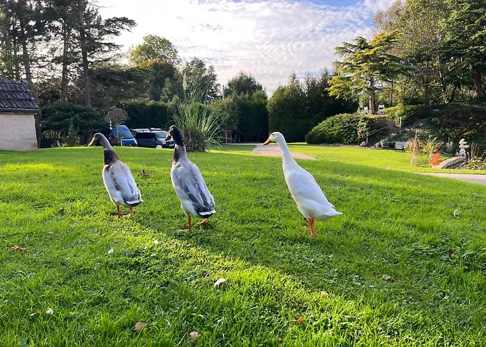 Lägenhet Le Champenois *